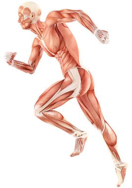 Schending van neuromusculaire afschrijving